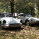 Illustration for article titled Tire Chains And Lucas Electrics In Californias Gold Country: The 2009 Snowball Rally
